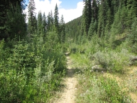 Ottertail River Trail